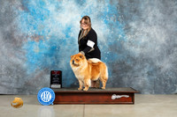 Chow #6 Thur BOS Judge Elizardo Valadez