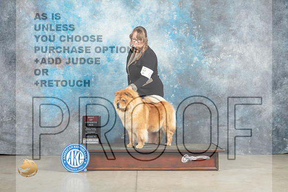 Chow #6 Thur BOS Judge Elizardo Valadez_MJ_0335_Midland2023_HR3