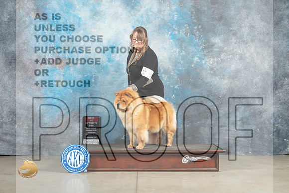 Chow #6 Thur BOS Judge Elizardo Valadez_MJ_0336_Midland2023_HR3