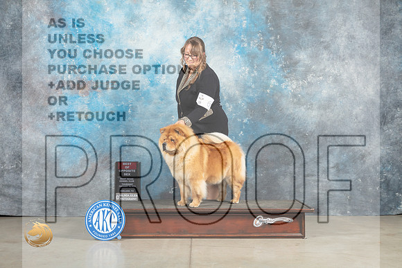 Chow #6 Thur BOS Judge Elizardo Valadez_MJ_0337_Midland2023_HR3