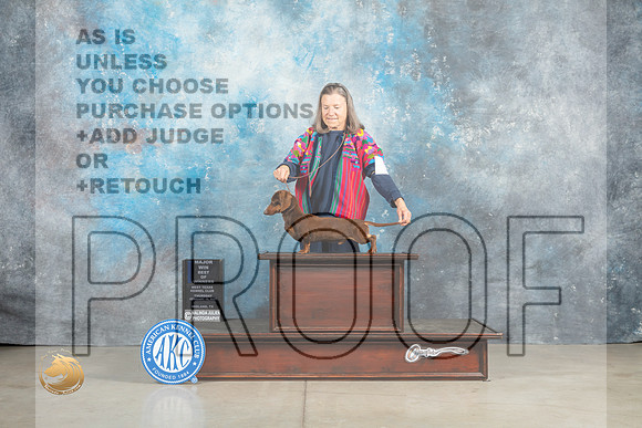 Dachshund Smooth #5 Thur BOW Judge Elizabeth Muthard_MJ_0310_Midland2023_HR3