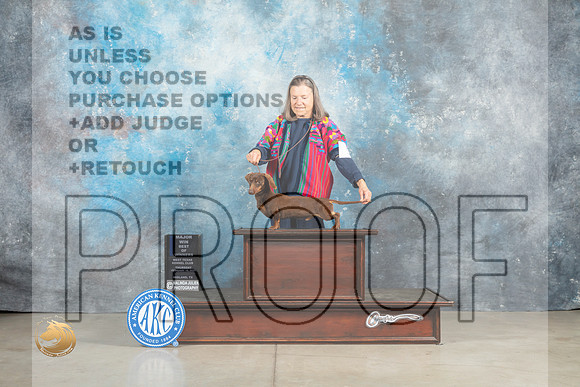 Dachshund Smooth #5 Thur BOW Judge Elizabeth Muthard_MJ_0311_Midland2023_HR3