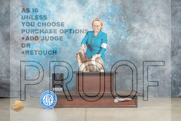 Havanese #24 Thur BOWWBMJ Judge Elizabeth Muthard _MJ_0303_Midland2023_HR3