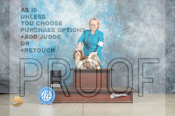 Havanese #24 Thur BOWWBMJ Judge Elizabeth Muthard _MJ_0304_Midland2023_HR3