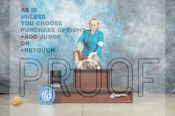 Havanese #24 Thur BOWWBMJ Judge Elizabeth Muthard _MJ_0305_Midland2023_HR3