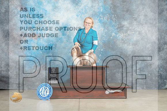 Havanese #24 Thur BOWWBMJ Judge Elizabeth Muthard _MJ_0306_Midland2023_HR3