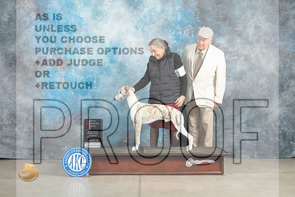 Whippet #5 Thur WD Judge Elizabeth Muthard _MJ_0322_Midland2023_HR3