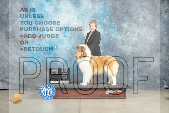 Collie Rough #8 Thur WBBOSBBE Judge Jon Cole_MJ_0404_Midland2023_HR3