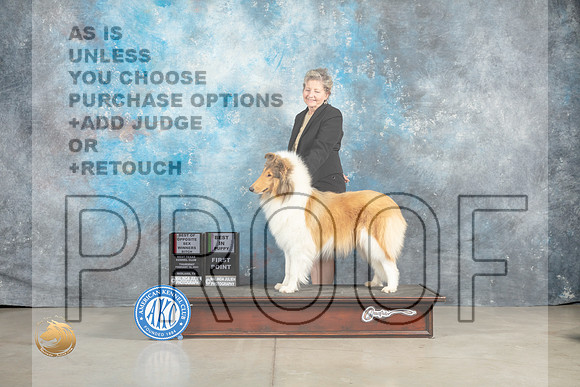 Collie Rough #8 Thur WBBOSBBE Judge Jon Cole_MJ_0407_Midland2023_HR3