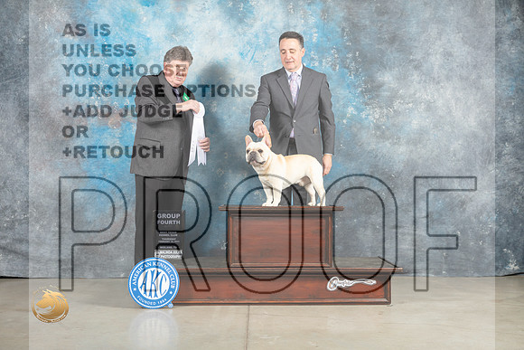 French Bulldog #? Thur G4 Judge Charles Olvis_MJ_0433_Midland2023_HR3