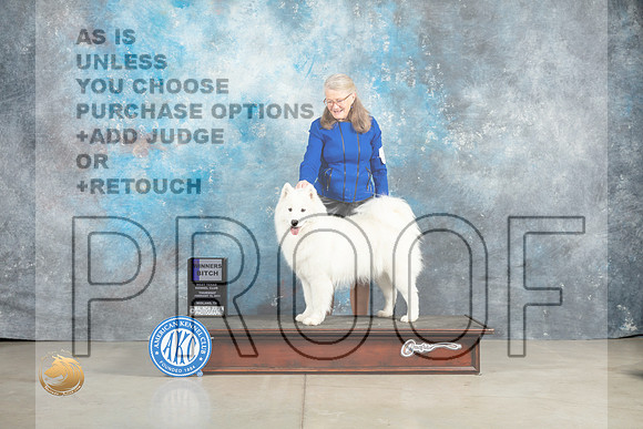 Samoyed #16 Thur WB Judge  Elizardo Valadez_MJ_0399_Midland2023_HR3