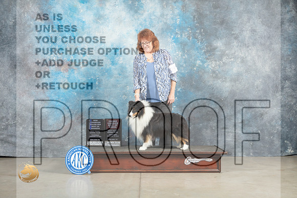 Shetland Sheepdog #29 Thur BOWWDOHBOBCh Judge Jon Cole_MJ_0371_Midland2023_HR3