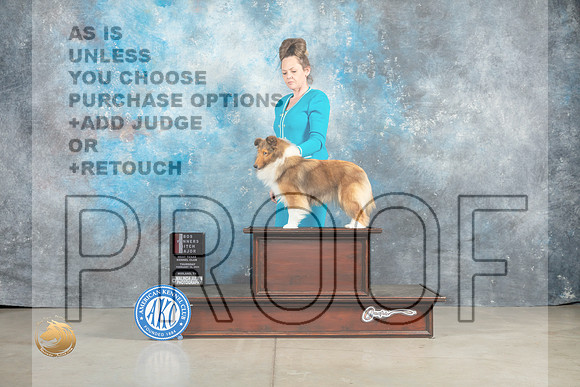 Shetland Sheepdog #40 Thur WBBOSM Judge Jon Cole_MJ_0382_Midland2023_HR3