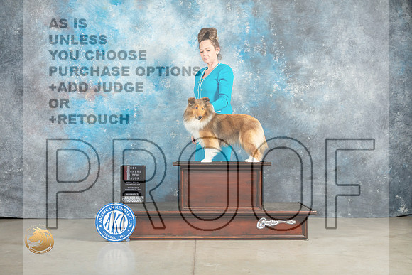 Shetland Sheepdog #40 Thur WBBOSM Judge Jon Cole_MJ_0383_Midland2023_HR3