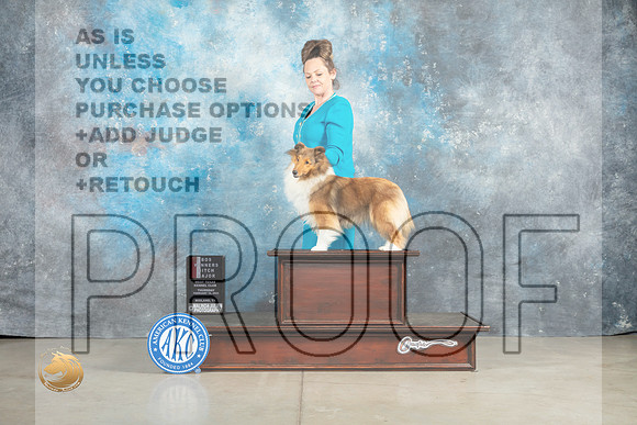 Shetland Sheepdog #40 Thur WBBOSM Judge Jon Cole_MJ_0386_Midland2023_HR3
