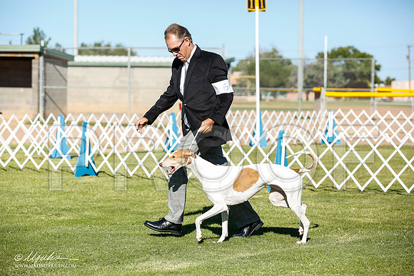 _JN_5651-AlamogordoOct2014-HR3