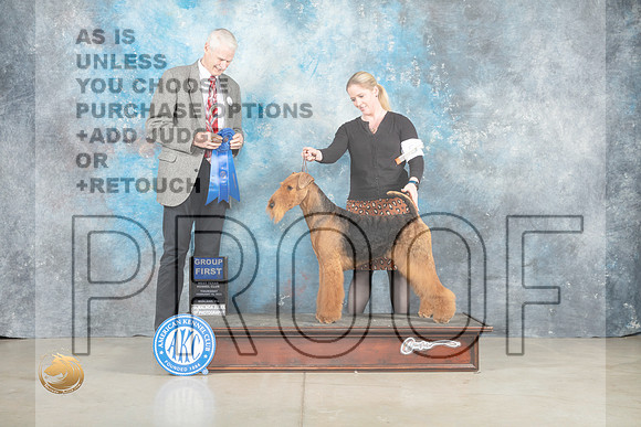 Airedale Terrier #5 Thur G1 Judge Jon Cole_MJ_0538_Midland2023_HR3
