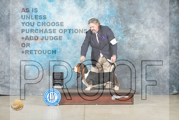 Basset Hound #5 Thur OHG1 Judge Judith Brown_MJ_0482_Midland2023_HR3