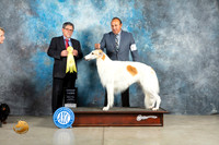Borzoi #6 Thur G3 Judge Elizardo Valadez