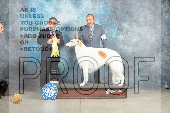 Borzoi #6 Thur G3 Judge Elizardo Valadez_MJ_0457_Midland2023_HR3