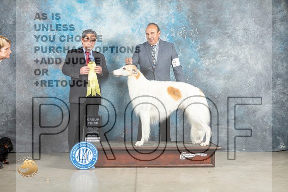 Borzoi #6 Thur G3 Judge Elizardo Valadez_MJ_0459_Midland2023_HR3