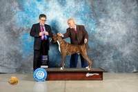 Boxer #17 Thur WD Judge Elizardo Valadez