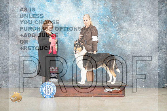 Collie Smooth #5 Thur G3 Judge Elizabeth Muthard _MJ_0508_Midland2023_HR3
