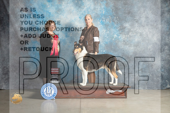 Collie Smooth #5 Thur G3 Judge Elizabeth Muthard _MJ_0511_Midland2023_HR3
