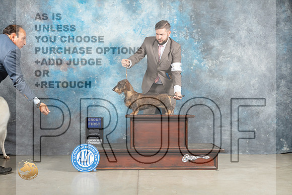 Dachshund Wirehaired #18 Thur G1 Judge Elizardo Valadez_MJ_0442_Midland2023_HR3