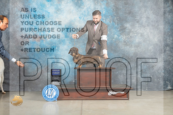 Dachshund Wirehaired #18 Thur G1 Judge Elizardo Valadez_MJ_0445_Midland2023_HR3