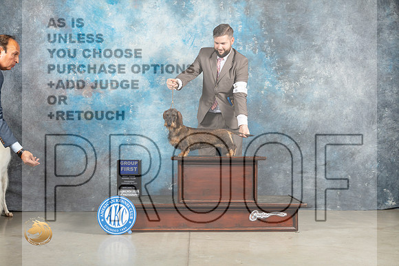 Dachshund Wirehaired #18 Thur G1 Judge Elizardo Valadez_MJ_0446_Midland2023_HR3