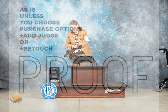 Dachshund Wirehaired #9 Thur OHG3 Judge Judith Brown_MJ_0477_Midland2023_HR3
