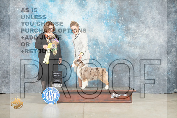 Miniature American Shepherd #6 Thur G3 Judge Elizabeth Muthard _MJ_0515_Midland2023_HR3