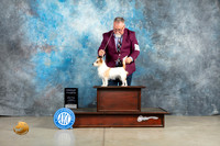 Portuguese Podengo Pequeno #6 Thur G4 Judge Elizardo Valadez