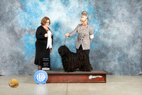 Puli #5 Thur G4 Judge Elizabeth Muthard