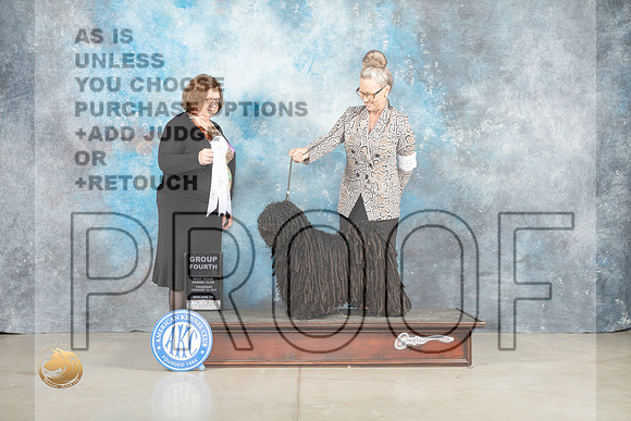 Puli #5 Thur G4 Judge Elizabeth Muthard _MJ_0499_Midland2023_HR3