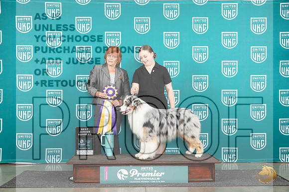 Australiann Shepherd #980 Fri BJ Judge Sharonn Griffin__JP_1901_Premier_2024_HR3