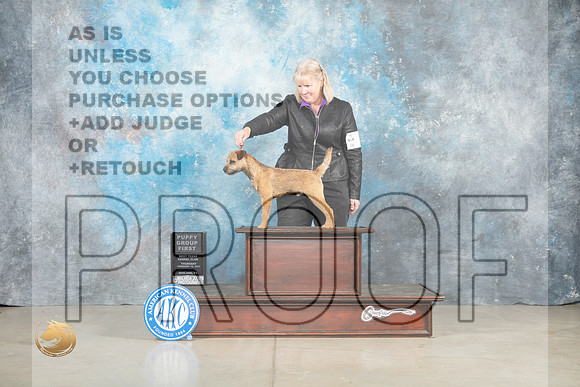 Border Terrier #7 Thur PG1 Judge Sherry Patton_MJ_0641_Midland2023_HR3