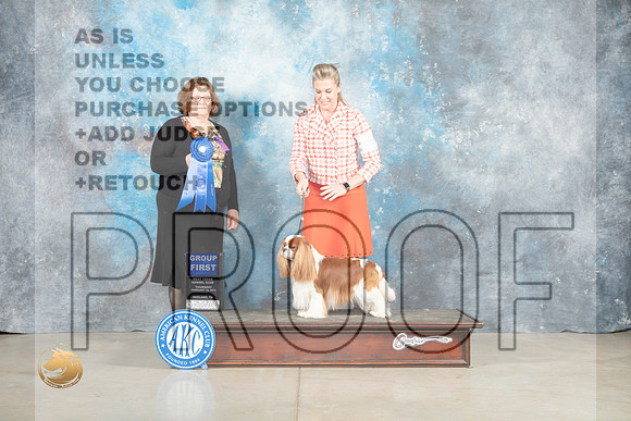 Cavalier King Charles Spaniel #5 Thur G1 Judge Elizabeth Muthard _MJ_0578_Midland2023_HR3