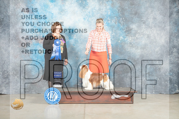 Cavalier King Charles Spaniel #5 Thur G1 Judge Elizabeth Muthard _MJ_0579_Midland2023_HR3