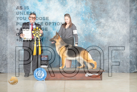 German Shepherd Dog #14 Thur BIS Judge Elizardo Valadez_MJ_0584_Midland2023_HR3