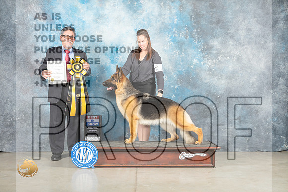 German Shepherd Dog #14 Thur BIS Judge Elizardo Valadez_MJ_0585_Midland2023_HR3