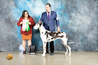 Great Dane #20 Thur PBIS Judge Sherry Patton