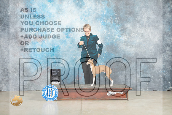 Italian Greyhound #5 Thur OHG1 Judge Judith Brown_MJ_0616_Midland2023_HR3