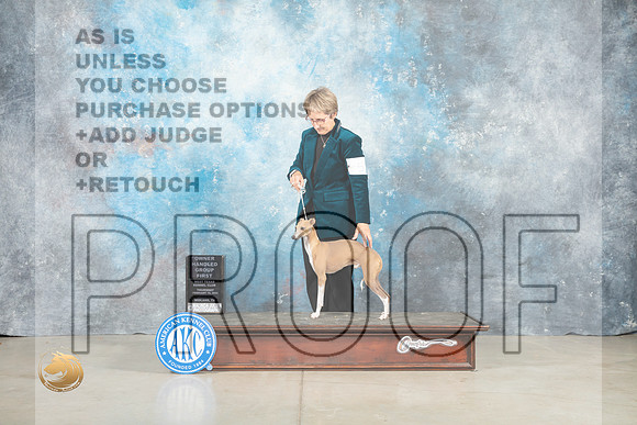 Italian Greyhound #5 Thur OHG1 Judge Judith Brown_MJ_0618_Midland2023_HR3