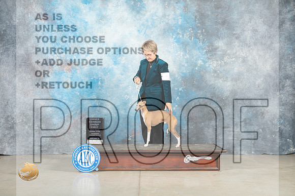 Italian Greyhound #5 Thur OHG1 Judge Judith Brown_MJ_0619_Midland2023_HR3