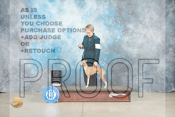 Italian Greyhound #5 Thur OHG1 Judge Judith Brown_MJ_0620_Midland2023_HR3