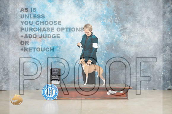 Italian Greyhound #5 Thur OHG1 Judge Judith Brown_MJ_0621_Midland2023_HR3