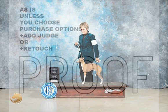 Italian Greyhound #5 Thur OHG1 Judge Judith Brown_MJ_0623_Midland2023_HR3