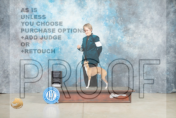 Italian Greyhound #5 Thur OHG1 Judge Judith Brown_MJ_0625_Midland2023_HR3